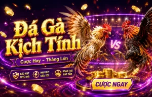 Sảnh Đá Gà littlejewelsuk